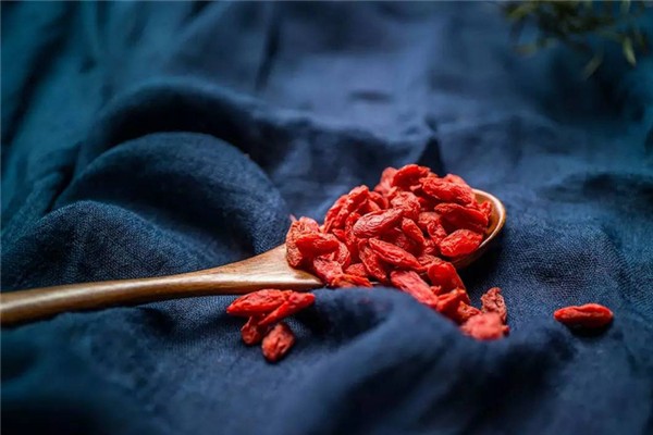 枸杞新鮮的能食用嗎 枸杞鮮果和干果哪個(gè)好 枸杞新鮮的能食用嗎 枸杞鮮果和干果哪個(gè)好