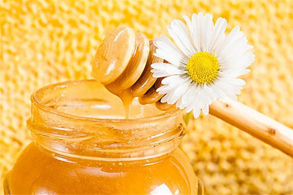 蜂蜜結(jié)晶好還是不結(jié)晶好 蜂蜜怎么辨別真假 蜂蜜結(jié)晶好還是不結(jié)晶好 蜂蜜怎么辨別真假