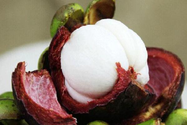 山竹殼太硬打不開是因為什么 山竹殼太硬是壞了嗎 山竹殼太硬打不開是因為什么 山竹殼太硬是壞了嗎