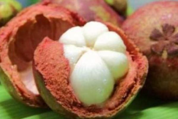 山竹皮可以直接擦臉嗎 山竹皮怎么敷臉好 山竹皮可以直接擦臉嗎 山竹皮怎么敷臉好