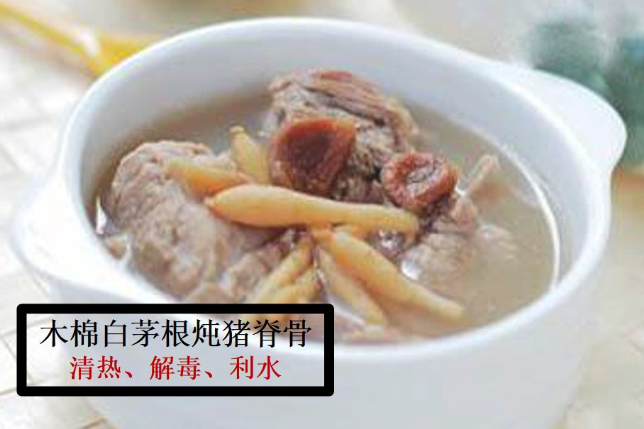 木棉花煲湯有什么功效 木棉花煲湯的最佳搭配 木棉花煲湯有什么功效 木棉花煲湯的最佳搭配