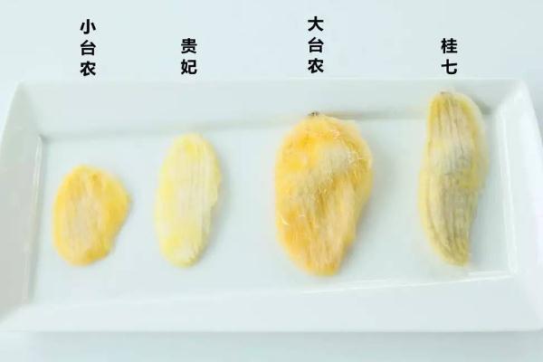 芒果核可以泡水喝嗎 芒果核煮水功效與作用 芒果核可以泡水喝嗎 芒果核煮水功效與作用