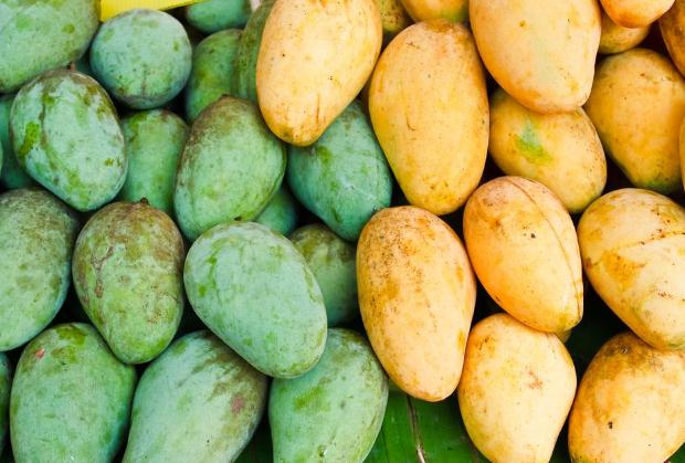 芒果有止血的作用嗎 吃芒果的副作用 芒果有止血的作用嗎 吃芒果的副作用