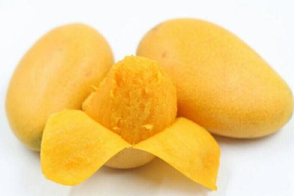 芒果皮可以敷臉嗎 能做面膜嗎 芒果皮可以敷臉嗎 能做面膜嗎