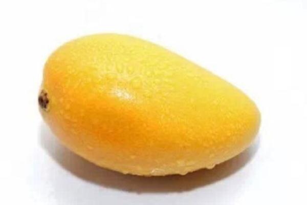 芒果是熱性還是涼性 為什么芒果吃了會上火 芒果是熱性還是涼性 為什么芒果吃了會上火