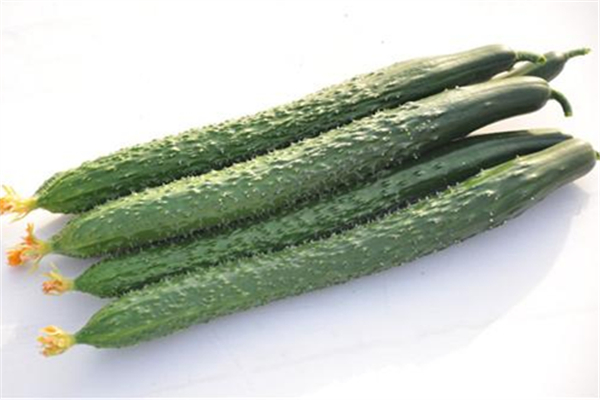 黃瓜發(fā)苦能吃嗎 黃瓜怎么挑選 黃瓜發(fā)苦能吃嗎 黃瓜怎么挑選