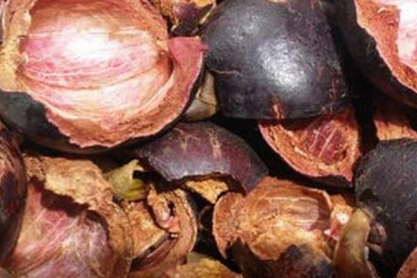 山竹殼有什么藥用價(jià)值 吃山竹皮有什么好處 山竹殼有什么藥用價(jià)值 吃山竹皮有什么好處