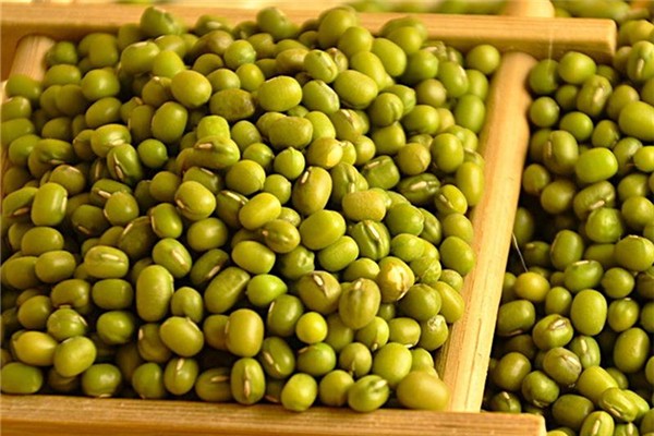 綠豆可以降血壓嗎 綠豆高血壓患者可以吃嗎 綠豆可以降血壓嗎 綠豆高血壓患者可以吃嗎