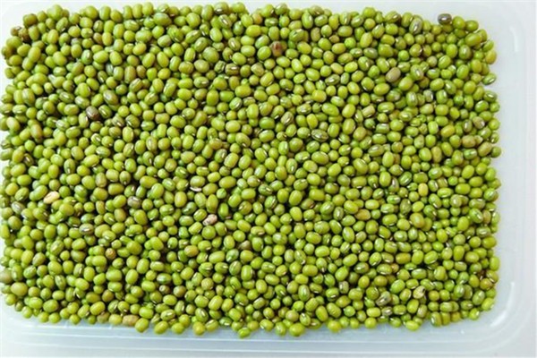 綠豆保質(zhì)期多久 綠豆保質(zhì)期過了能吃嗎 綠豆保質(zhì)期多久 綠豆保質(zhì)期過了能吃嗎