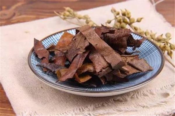 枇杷葉對(duì)胃部有刺激嗎 枇杷葉能治胃病嗎 枇杷葉對(duì)胃部有刺激嗎 枇杷葉能治胃病嗎