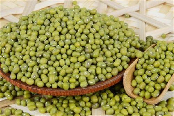 綠豆適合寶寶吃嗎 綠豆多大寶寶可以吃 綠豆適合寶寶吃嗎 綠豆多大寶寶可以吃