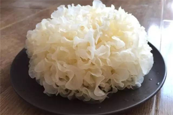 銀耳美容養(yǎng)顏嗎 銀耳會長胖嗎 銀耳美容養(yǎng)顏嗎 銀耳會長胖嗎