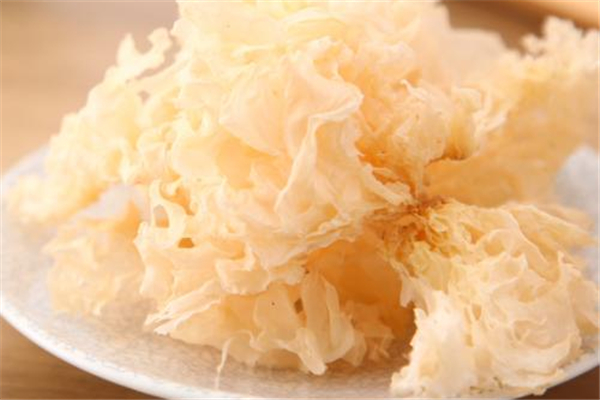 銀耳不出膠是怎么回事 銀耳不出膠是假銀耳嗎 銀耳不出膠是怎么回事 銀耳不出膠是假銀耳嗎