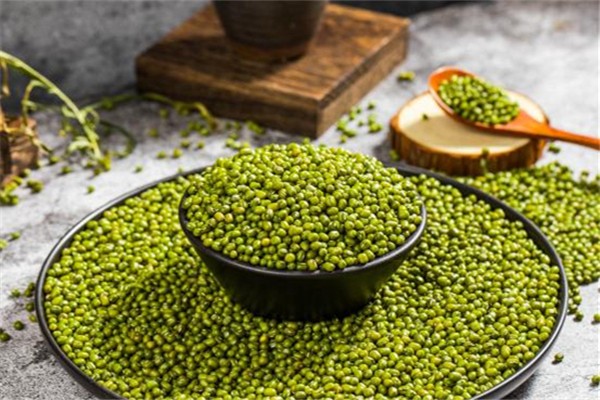 綠豆能解毒嗎 綠豆什么季節(jié)最適合吃 綠豆能解毒嗎 綠豆什么季節(jié)最適合吃