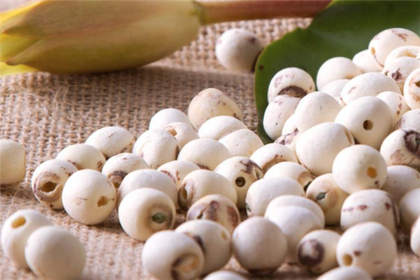 蓮子發(fā)苦還能吃嗎 蓮子發(fā)苦是不是壞了 蓮子發(fā)苦還能吃嗎 蓮子發(fā)苦是不是壞了