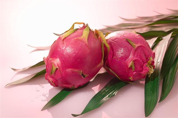 火龍果降血壓嗎 火龍果降血壓效果好嗎 火龍果降血壓嗎 火龍果降血壓效果好嗎