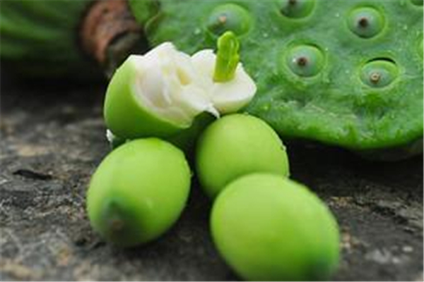 蓮子含糖高嗎 蓮子糖尿病人可以吃嗎 蓮子含糖高嗎 蓮子糖尿病人可以吃嗎