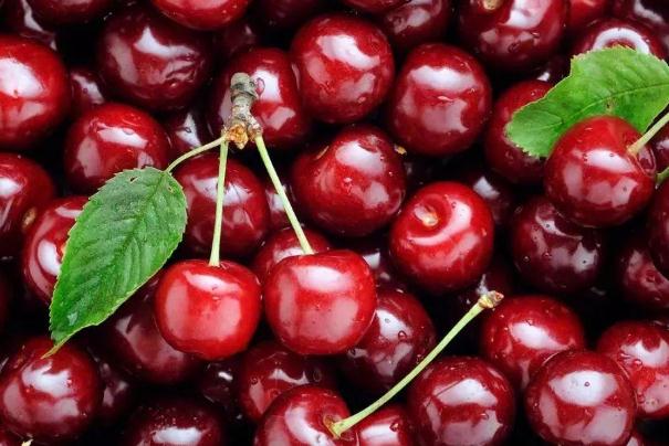 吃櫻桃能降血糖嗎 血糖高的人能吃櫻桃嗎 吃櫻桃能降血糖嗎 血糖高的人能吃櫻桃嗎