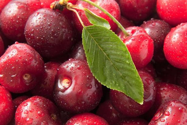 吃櫻桃可以喝純奶嗎 櫻桃不能和什么水果一起吃 吃櫻桃可以喝純奶嗎 櫻桃不能和什么水果一起吃