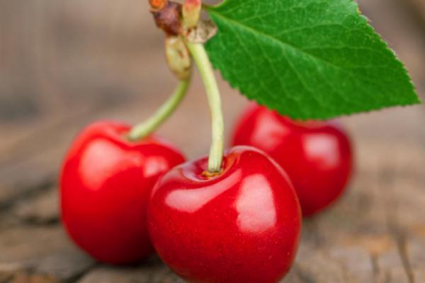 櫻桃有點(diǎn)苦是什么原因 櫻桃有點(diǎn)苦吃了有害嗎 櫻桃有點(diǎn)苦是什么原因 櫻桃有點(diǎn)苦吃了有害嗎