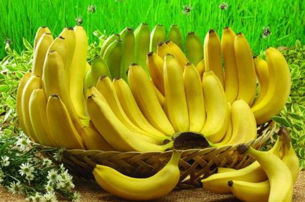 香蕉吃起來有點苦 香蕉吃起來發(fā)硬是怎么回事 香蕉吃起來有點苦 香蕉吃起來發(fā)硬是怎么回事