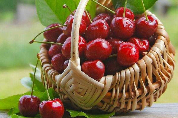 櫻桃怎么吃不那么酸 酸櫻桃怎么吃 櫻桃怎么吃不那么酸 酸櫻桃怎么吃