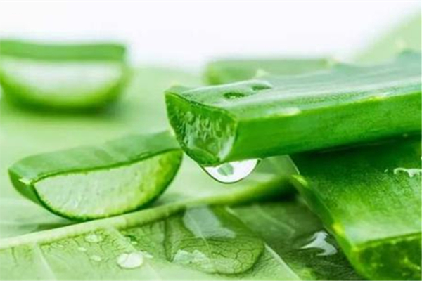 蘆薈膠淡化疤痕嗎 蘆薈膠有什么用途 蘆薈膠淡化疤痕嗎 蘆薈膠有什么用途