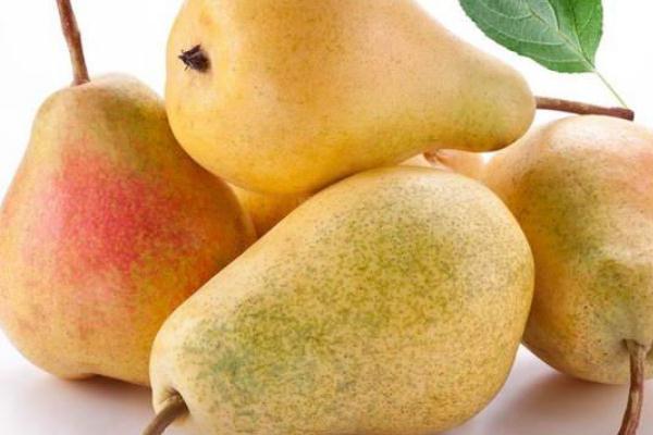 梨子可以煮著吃嗎 梨子煮熟吃有什么功效與作用 梨子可以煮著吃嗎 梨子煮熟吃有什么功效與作用