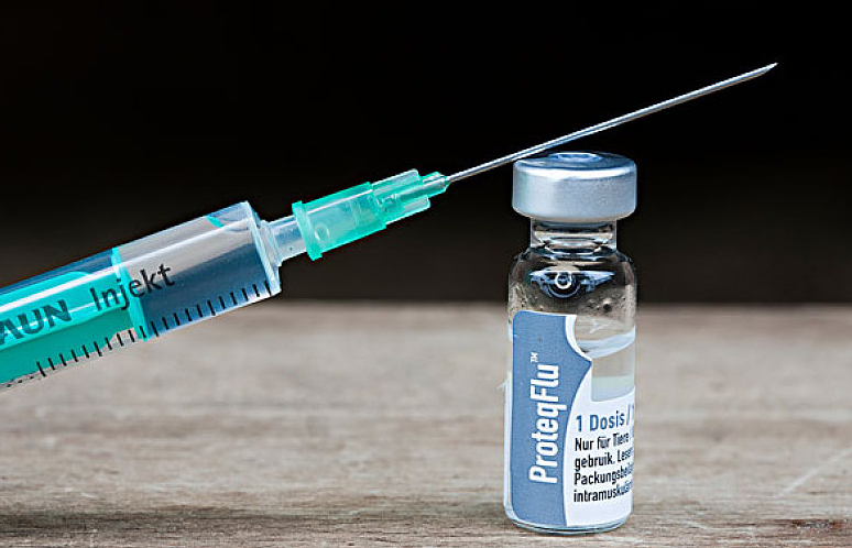 打新冠疫苗前能吃降壓藥嗎 打新冠疫苗后能吃降壓藥嗎 打新冠疫苗前能吃降壓藥嗎 打新冠疫苗后能吃降壓藥嗎