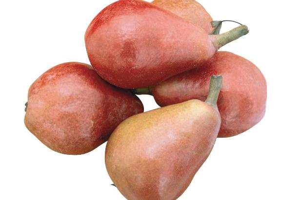 梨子可以和牛奶一起吃嗎 為什么牛奶和梨一起吃拉肚子 梨子可以和牛奶一起吃嗎 為什么牛奶和梨一起吃拉肚子