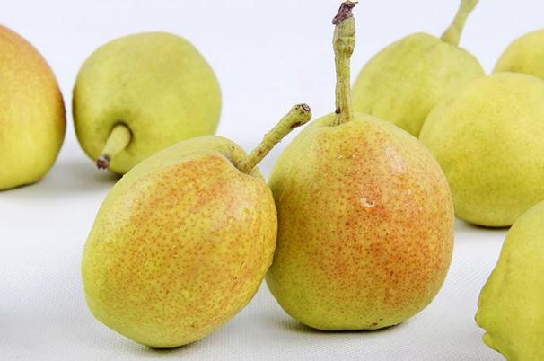 梨子有點(diǎn)爛了可以吃嗎 吃了爛梨子會怎樣 梨子有點(diǎn)爛了可以吃嗎 吃了爛梨子會怎樣