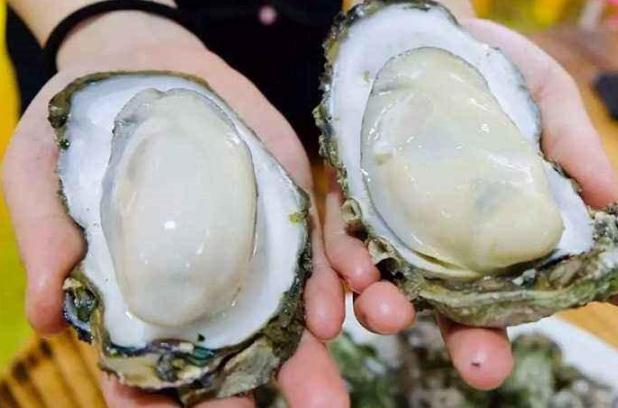 生蠔可以生吃不 生蠔生吃怎么處理 生蠔可以生吃不 生蠔生吃怎么處理