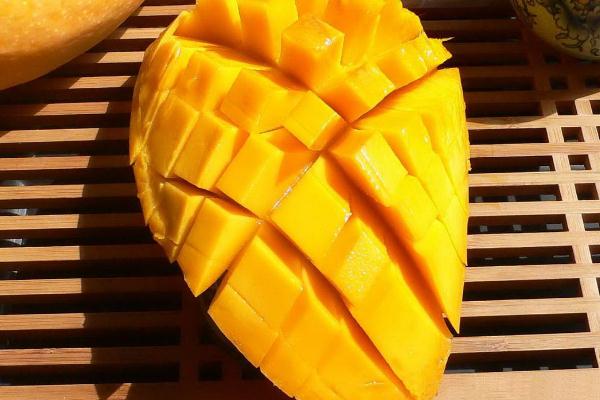 懷孕可以吃芒果嗎早期 懷孕吃芒果好嗎 懷孕可以吃芒果嗎早期 懷孕吃芒果好嗎