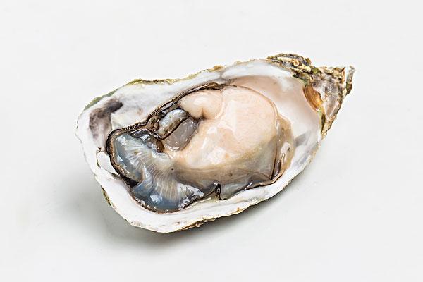生蠔什么季節(jié)最肥最好吃 生蠔什么時(shí)間段吃最佳 生蠔什么季節(jié)最肥最好吃 生蠔什么時(shí)間段吃最佳