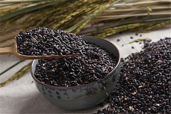 黑米是粗糧嗎 黑米飯怎么做 黑米是粗糧嗎 黑米飯怎么做