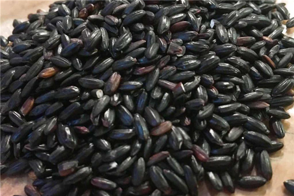 黑米是粗糧嗎 黑米飯怎么做 黑米是粗糧嗎 黑米飯怎么做