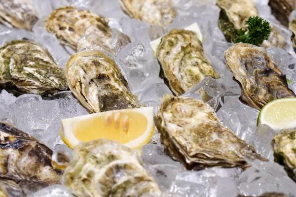 懷孕可以吃生蠔嗎 什么樣的生蠔不適合孕婦吃 懷孕可以吃生蠔嗎 什么樣的生蠔不適合孕婦吃