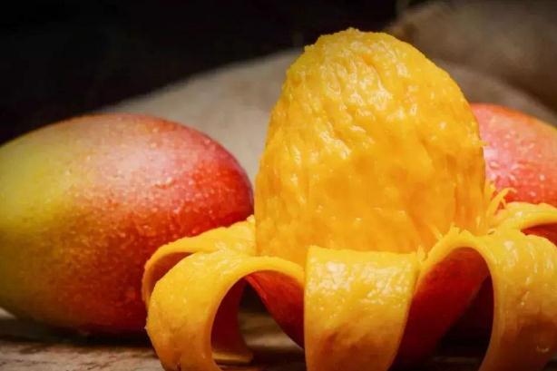 懷孕可以吃芒果嗎早期 懷孕吃芒果好嗎 懷孕可以吃芒果嗎早期 懷孕吃芒果好嗎