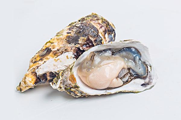 生蠔怎么開殼 沒有蠔刀怎么開生蠔 生蠔怎么開殼 沒有蠔刀怎么開生蠔