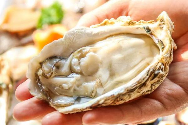 吃生蠔對男人有什么好處 吃生蠔的禁忌 吃生蠔對男人有什么好處 吃生蠔的禁忌