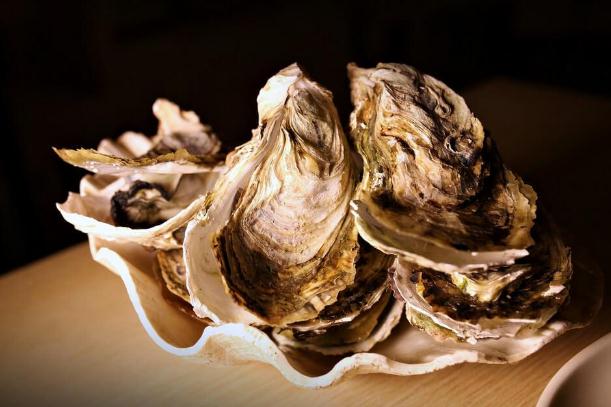 吃生蠔可以喝啤酒嗎 吃生蠔喝啤酒會怎樣 吃生蠔可以喝啤酒嗎 吃生蠔喝啤酒會怎樣