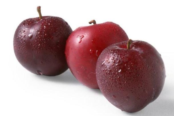 李子是高糖還是低糖水果 李子可以降血糖嗎 李子是高糖還是低糖水果 李子可以降血糖嗎