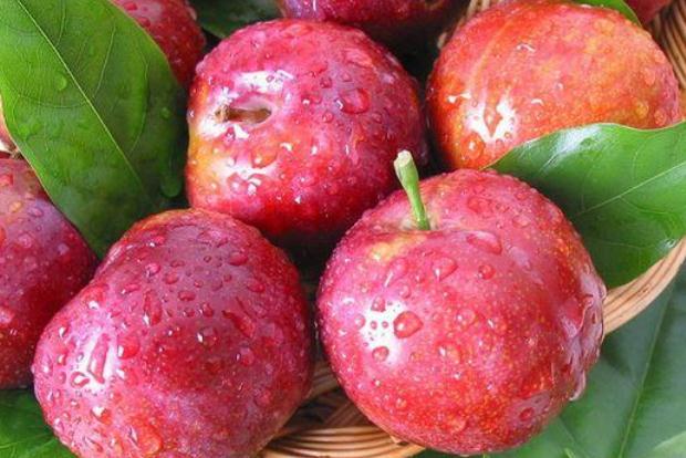 李子的種類(lèi)有哪些 李子什么品種最好吃 李子的種類(lèi)有哪些 李子什么品種最好吃