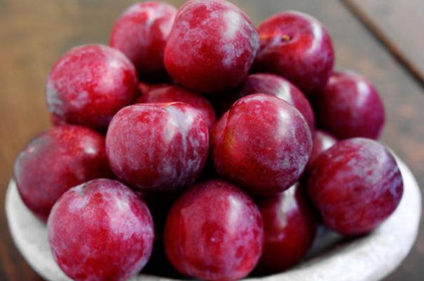 李子是什么季節(jié)水果 李子什么時(shí)候成熟 李子是什么季節(jié)水果 李子什么時(shí)候成熟