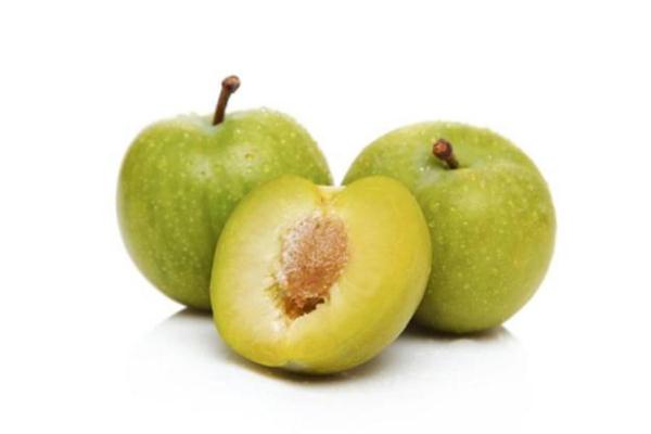 李子是什么季節(jié)水果 李子什么時(shí)候成熟 李子是什么季節(jié)水果 李子什么時(shí)候成熟