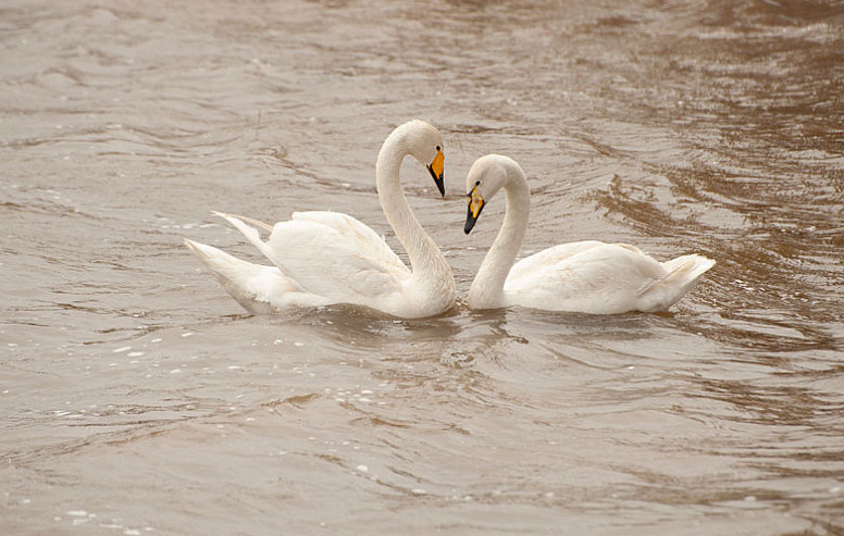 男人真的靠得住嗎 女人還是要學(xué)會獨立 男人真的靠得住嗎 女人還是要學(xué)會獨立