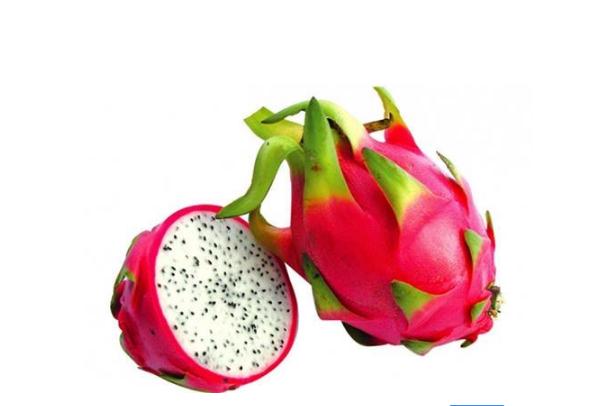 火龍果是幾月份的應(yīng)季水果 火龍果什么時(shí)候吃最好 火龍果是幾月份的應(yīng)季水果 火龍果什么時(shí)候吃最好