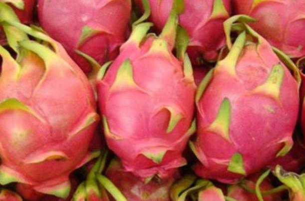 火龍果有幾種顏色 火龍果顏色不同有什么區(qū)別 火龍果有幾種顏色 火龍果顏色不同有什么區(qū)別