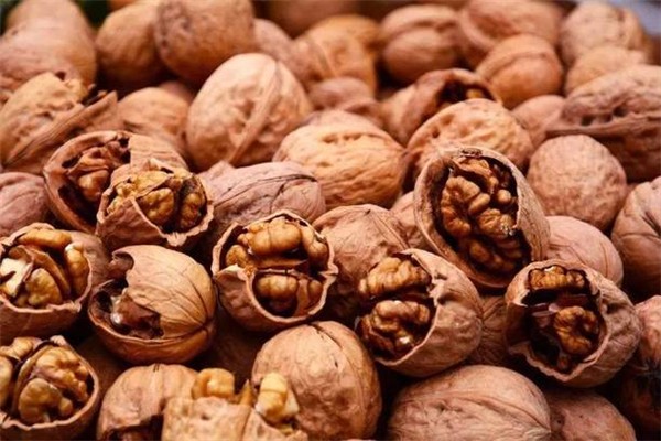 核桃可以放多久 核桃怎么存放好 核桃可以放多久 核桃怎么存放好