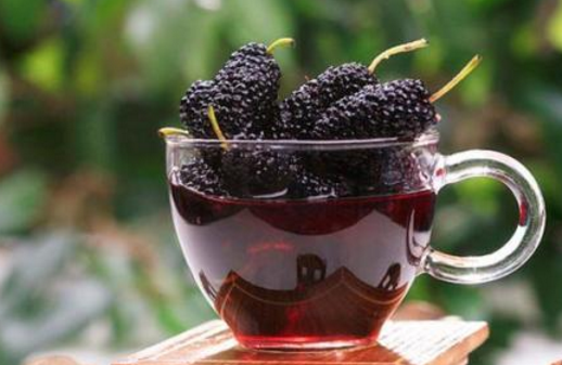 桑葚泡的酒有毒嗎 桑葚泡的酒能喝嗎 桑葚泡的酒有毒嗎 桑葚泡的酒能喝嗎